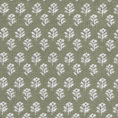 Verdant Heirloom Pine