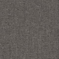 Fortis Cadet Slate
