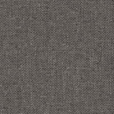 Fortis Cadet Slate