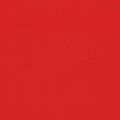 Canvas Logo Red