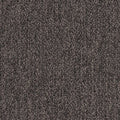 Nestle Grey