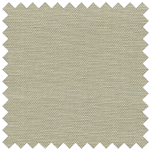 Cotton Duck Stone