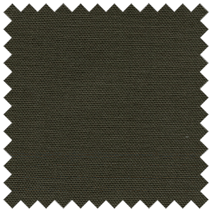 Cotton Duck Moss