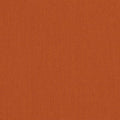 Canvas Rust