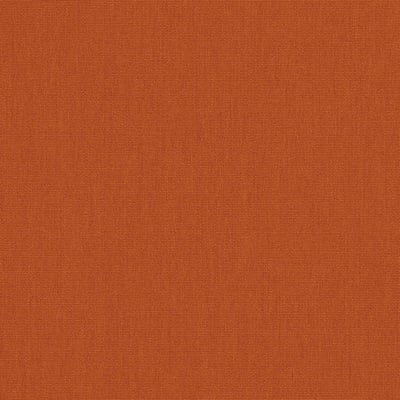 Canvas Rust
