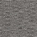 Contour Nickel