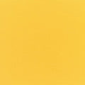 Canvas Sunflower Yellow