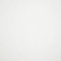 Canvas White