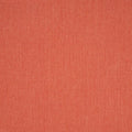Canvas Persimmon