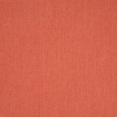 Canvas Persimmon