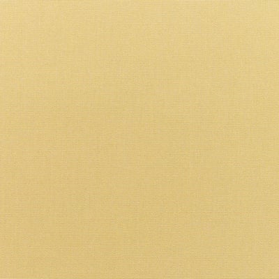 Canvas Wheat