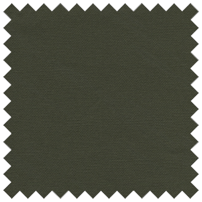 Cotton Duck Pine