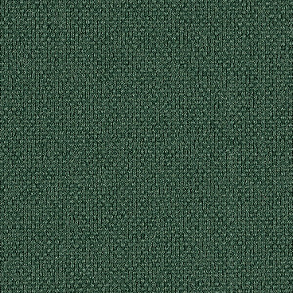 Jack-Mat Ivy