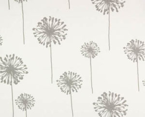 dandelion white storm