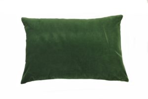 Green Velvet Pillow Cover