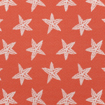 Outdoor Starfish Firecracker -Grade B