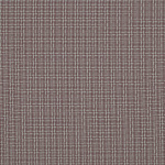 Landis Lilac - Grade A